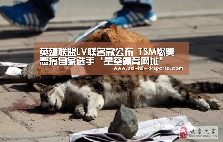 英雄联盟LV联名款公布 TSM爆笑恶搞自家选手‘星空体育网址
