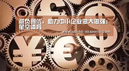减负创优，助力中小企业做大做强：星空体育